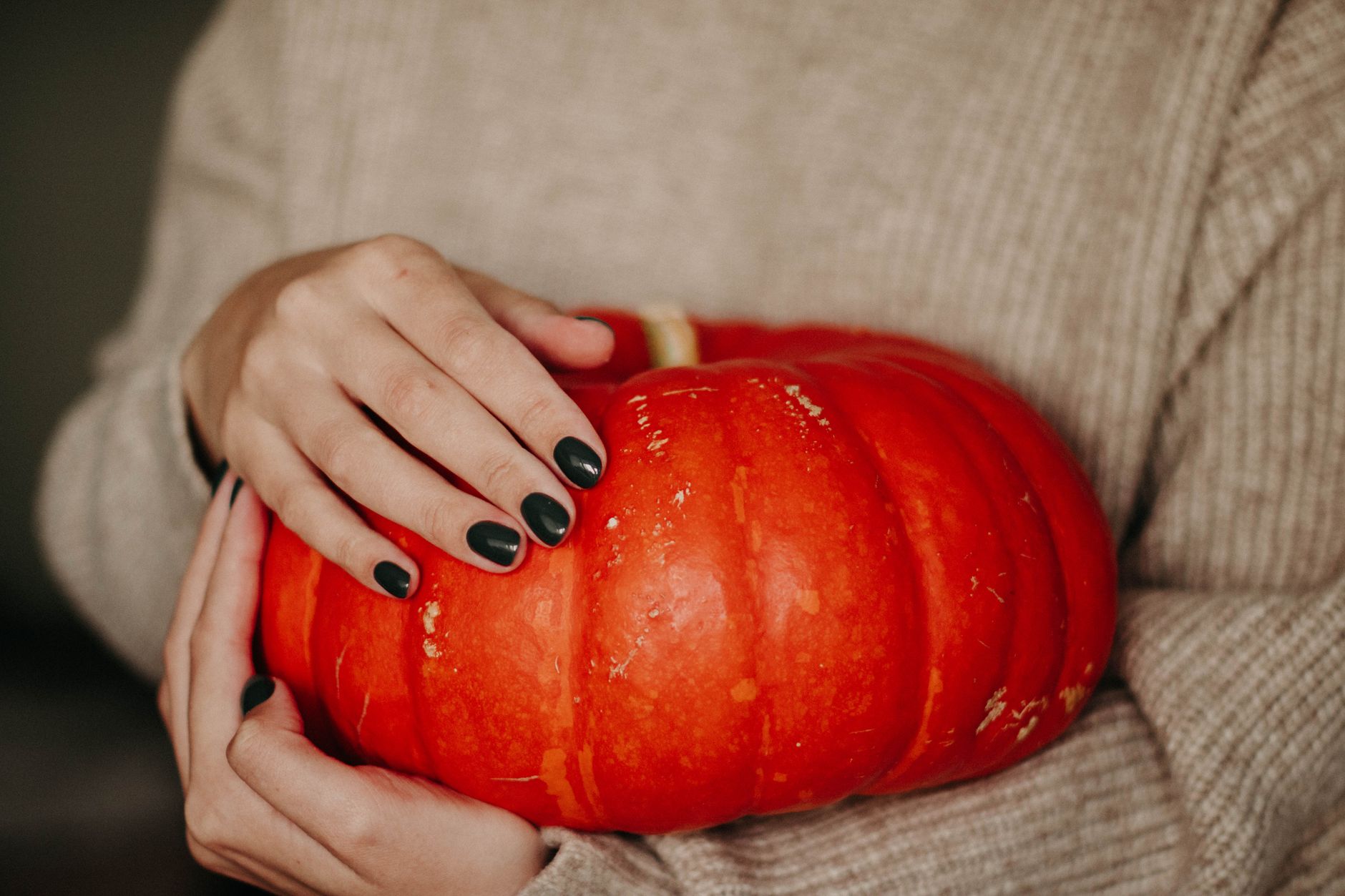 Mains aux ongles vernis de couleur sombre tenant une citrouille orange vif.